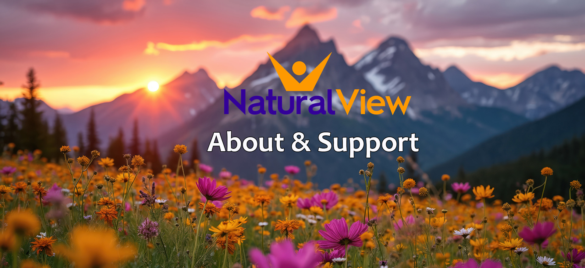 About-and-support-outside-letters